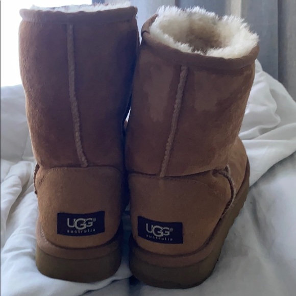 Chestnut Ugg’s - Picture 3 of 3